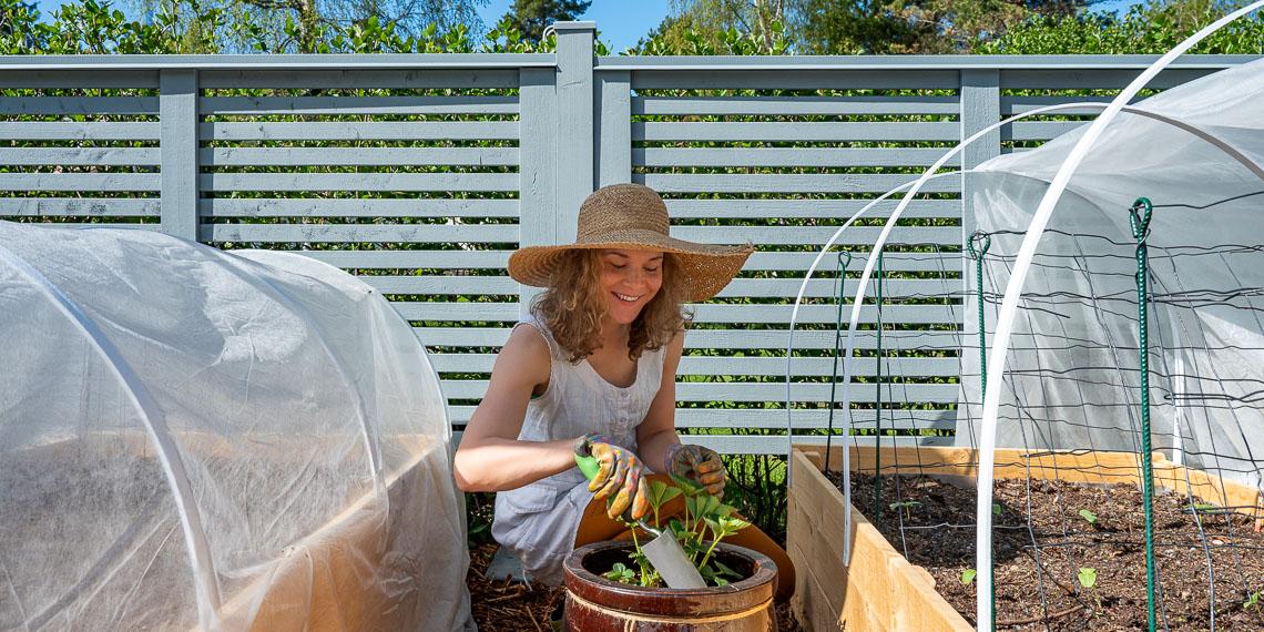 Kruunuaita etusivun bannerikuva